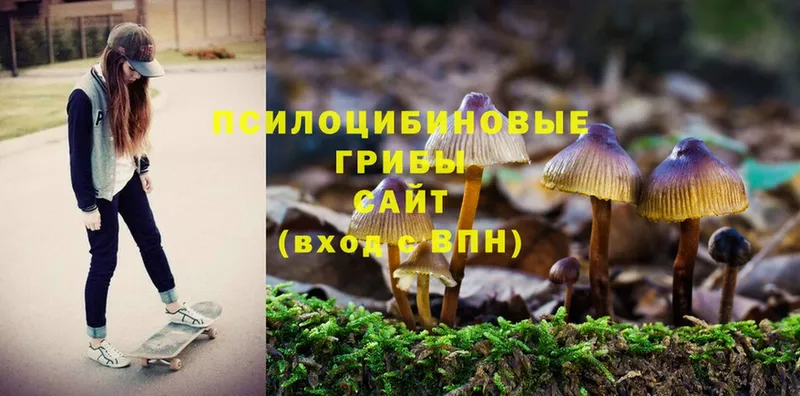 Галлюциногенные грибы Magic Shrooms  Верхняя Салда 